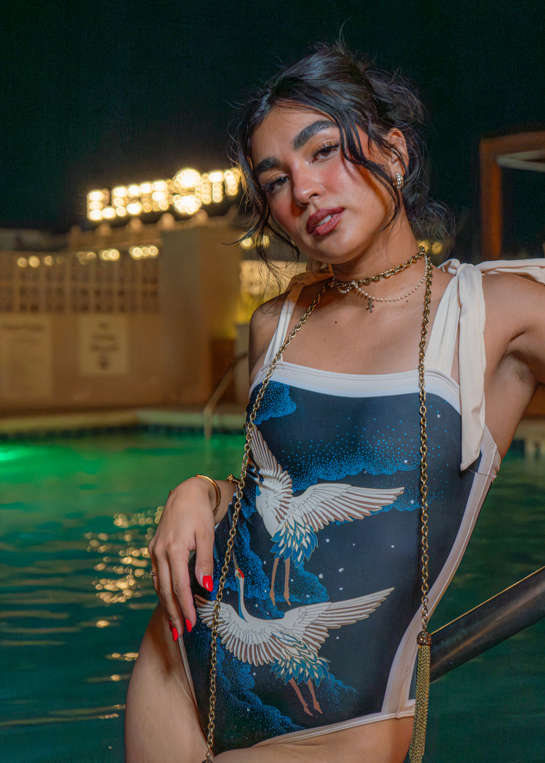 Midnight Cranes One Piece Swimsuit with Sarong Wrap Up